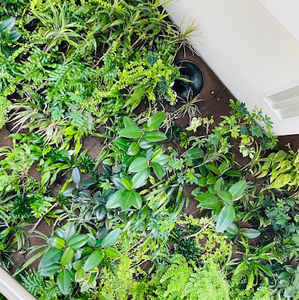 Meet your Posher, Shehani